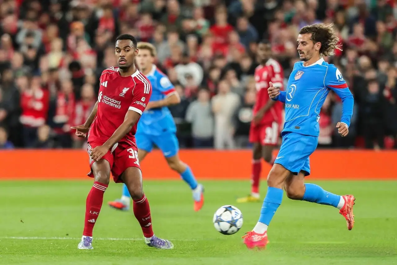 msn, alt, tenan msn, alt, tenan