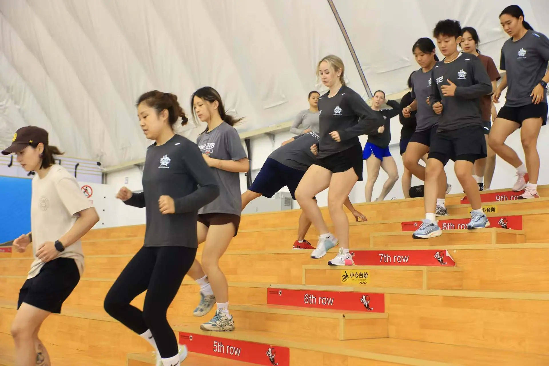 赛顶级组赛, 个赛季中, amp 赛顶级组赛, 个赛季中, amp